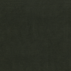 Charcoal