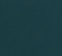 DeepTeal