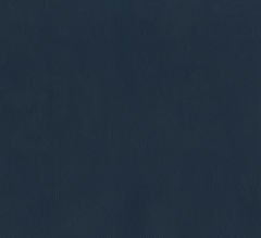 MidnightBlue