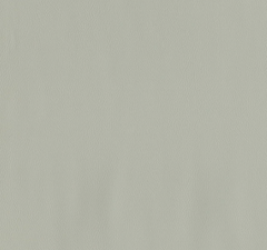 Seagull