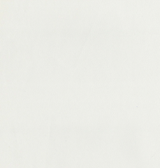 WhiteCap